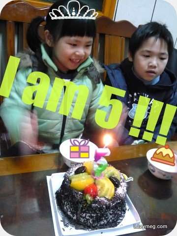 2009-01-15-nina birthday